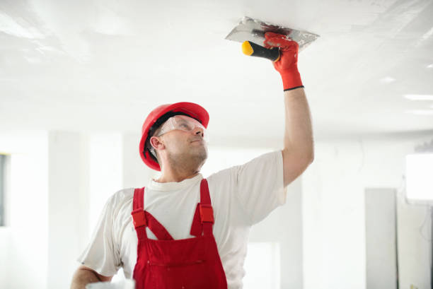 Professional Painting & Drywall Services in Burwell, NE